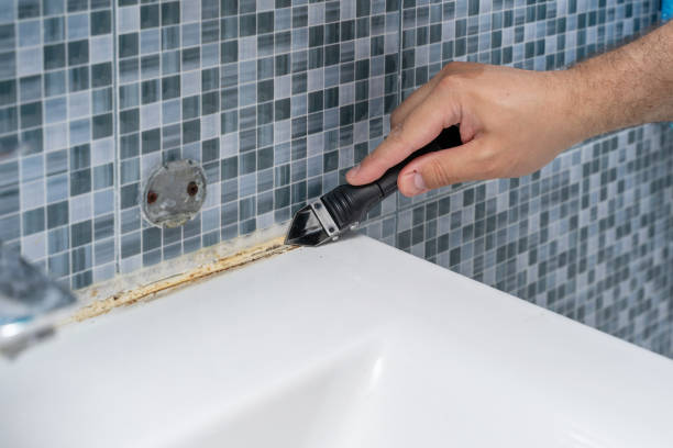 Best Emergency Mold Remediation in Oak Park, MI